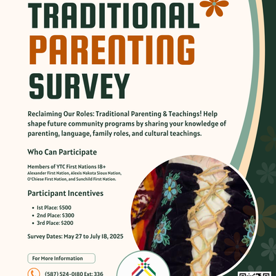 Traditional Parenting Program Survey