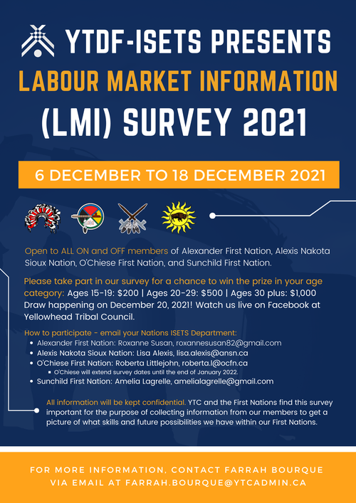 (lmi) Survey 2021