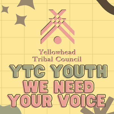 Your Voice Matters - YTC Youth Well-Being Surveys